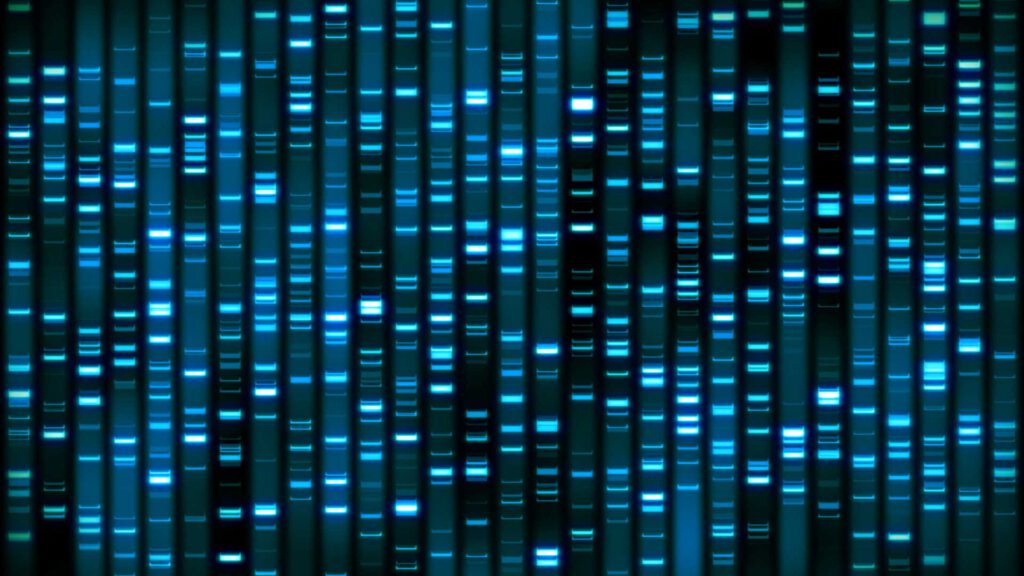 KueblerLab_DNA_sequencer